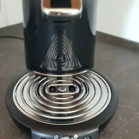 Fewo Apartment Lingenfeld